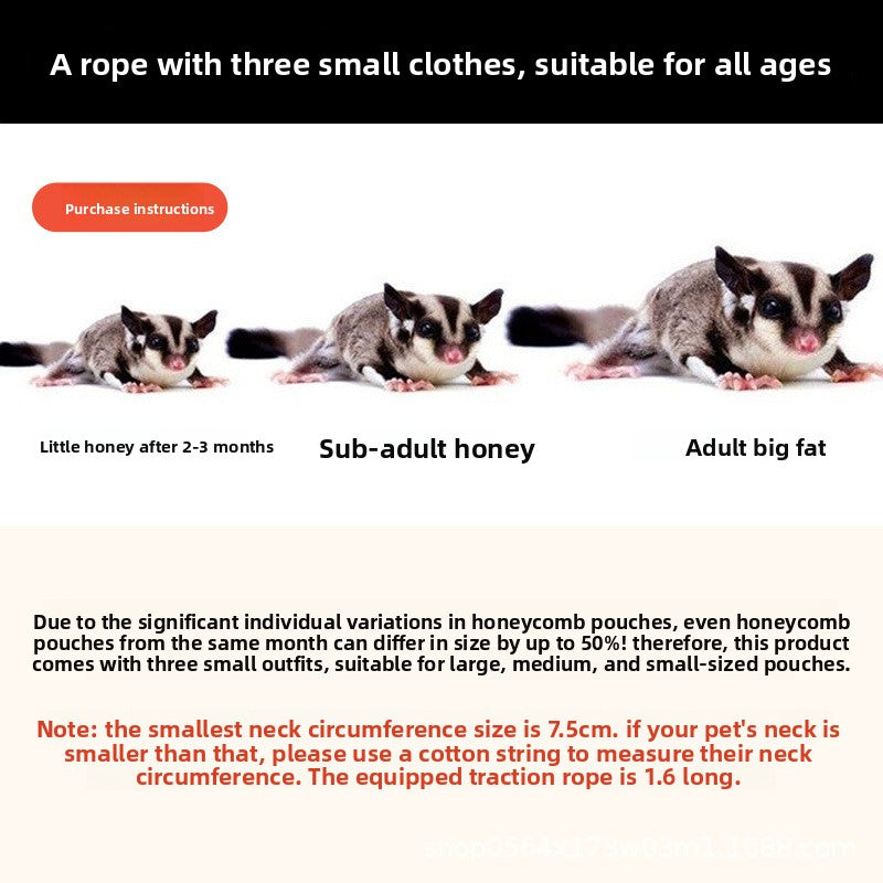 Sugar glider leash