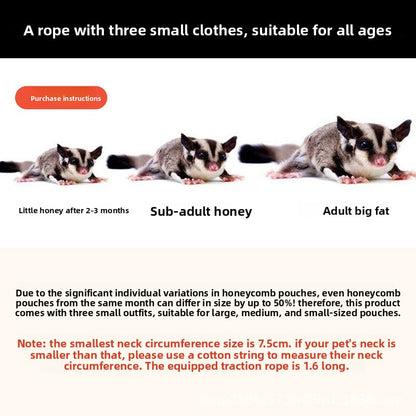 Sugar glider leash
