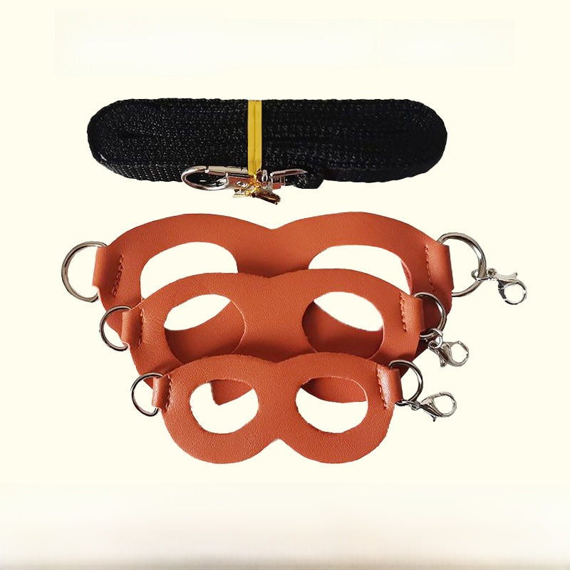 Sugar glider leash