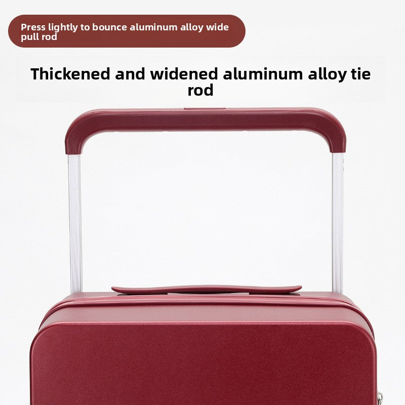 Suitcase, women's makeup bag, trolley case