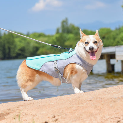 Summer cooling cat and dog vests
