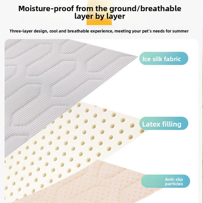 Summer Ice Silk Mat