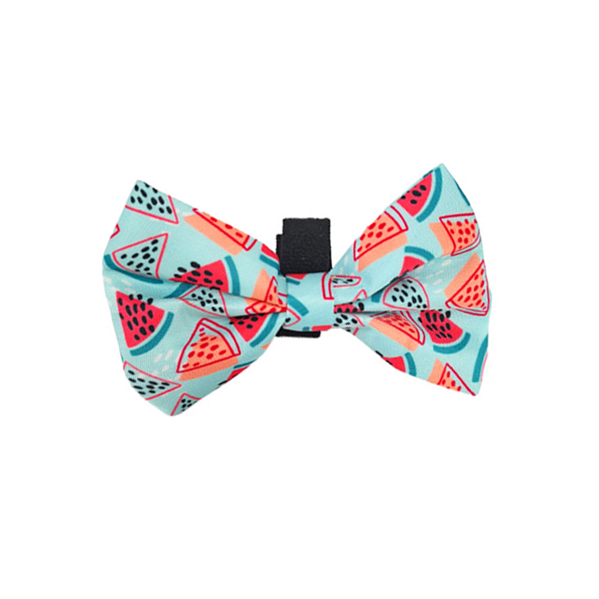 Summer Watermelon Dog Harness Set