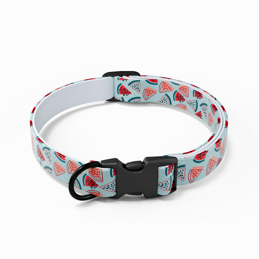 Summer Watermelon Dog Harness Set