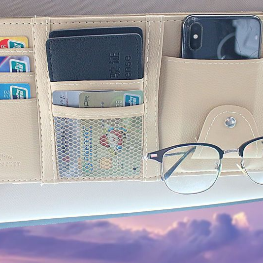 Sun Visor Storage Clip