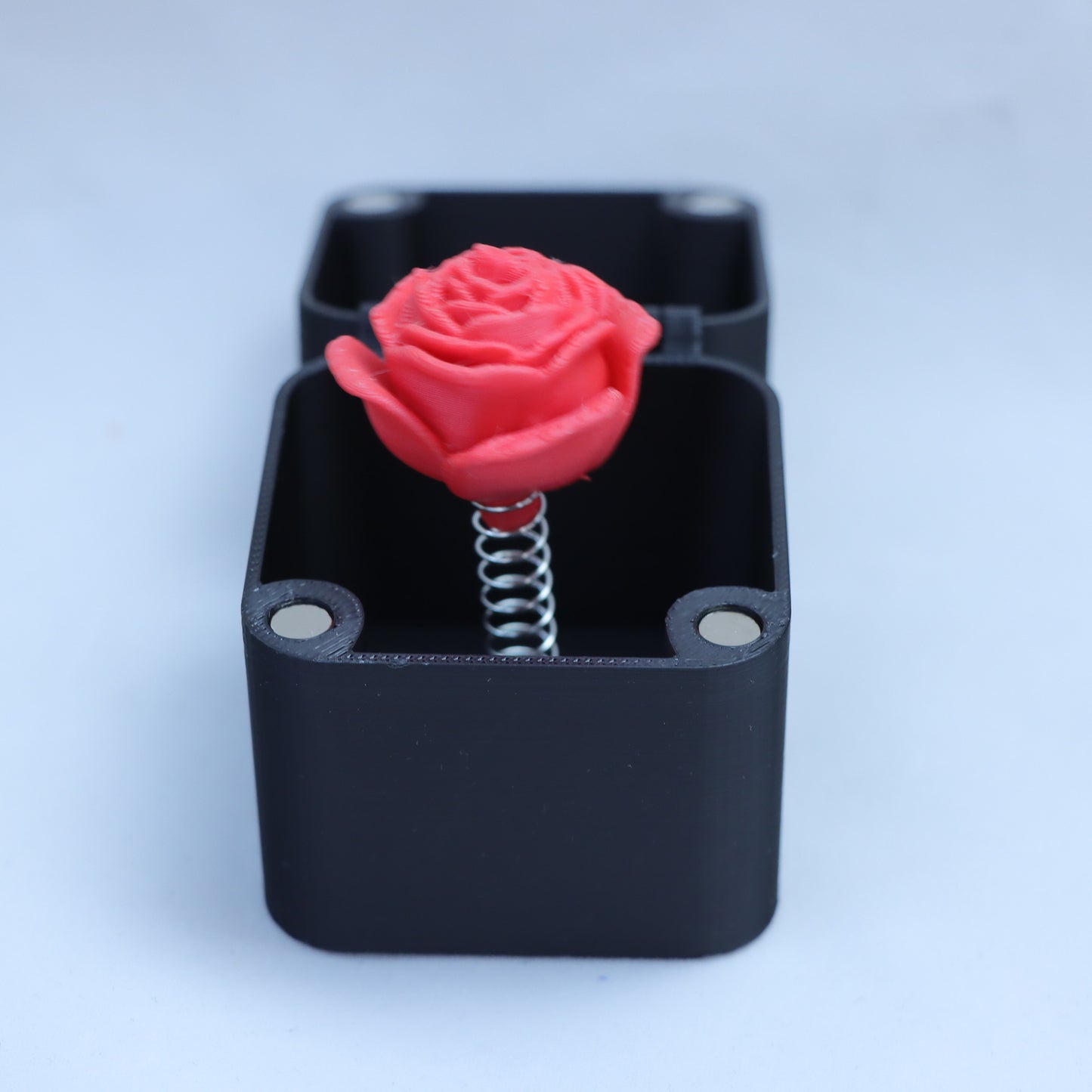 Surprise Gift Box