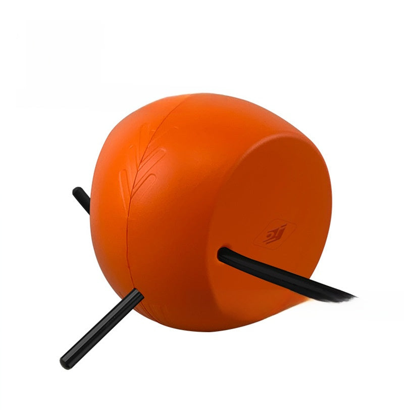Swing Trainer