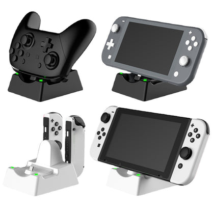 Switch Charger
