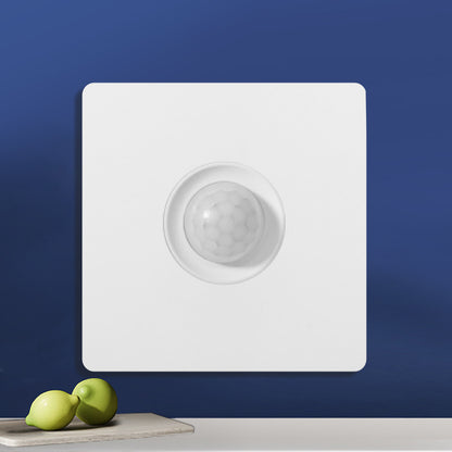 Switch Socket