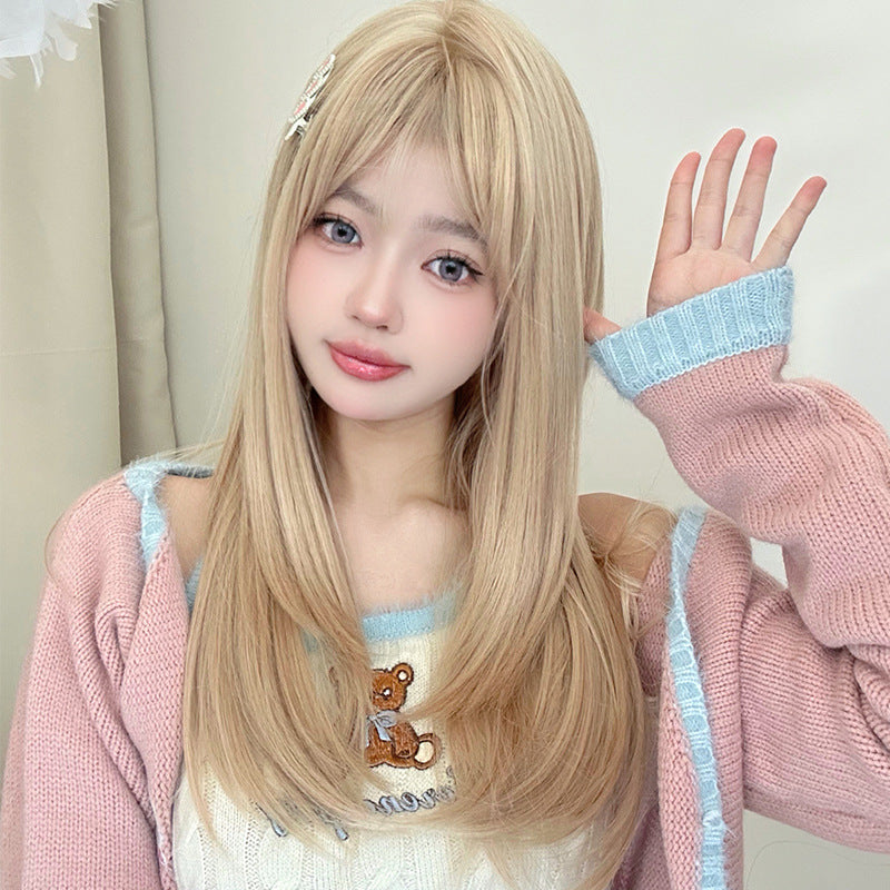 Synthetic Long Straight Hair Wig