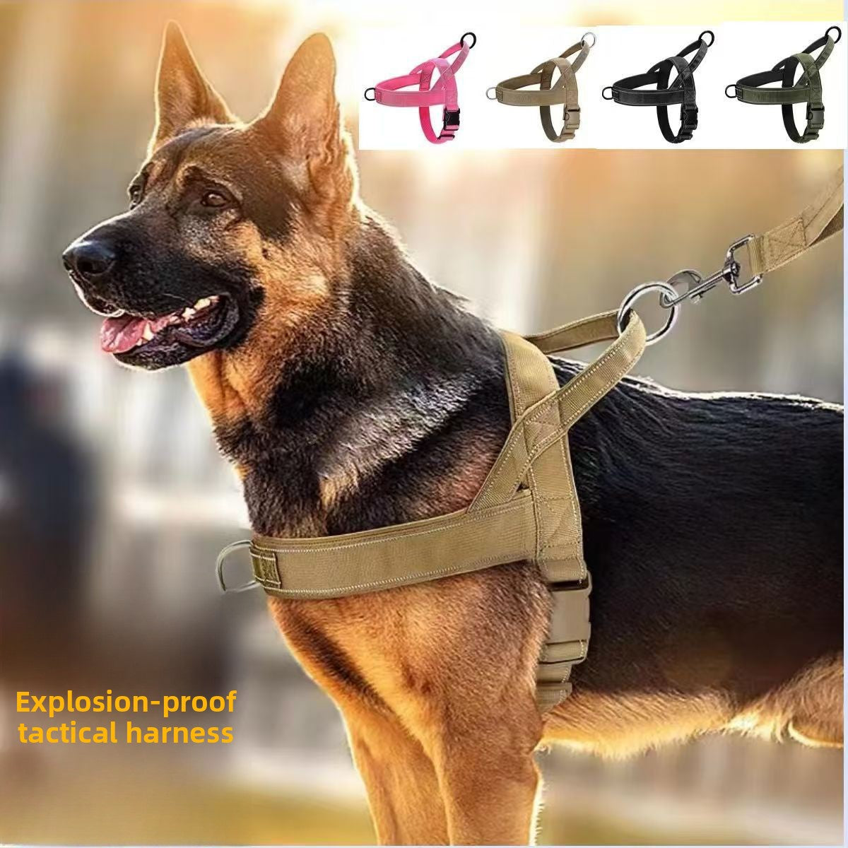 Tactical dog harness