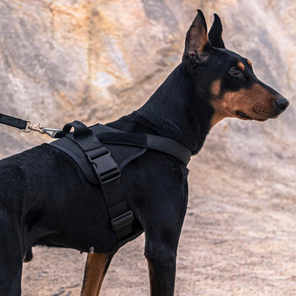 Tactical dog harness