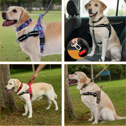 Tactical dog harness