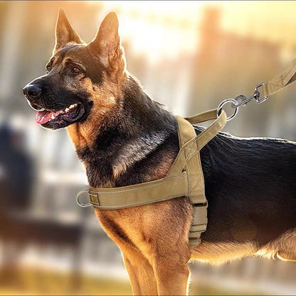 Tactical Dog Harness Vest with Collar
