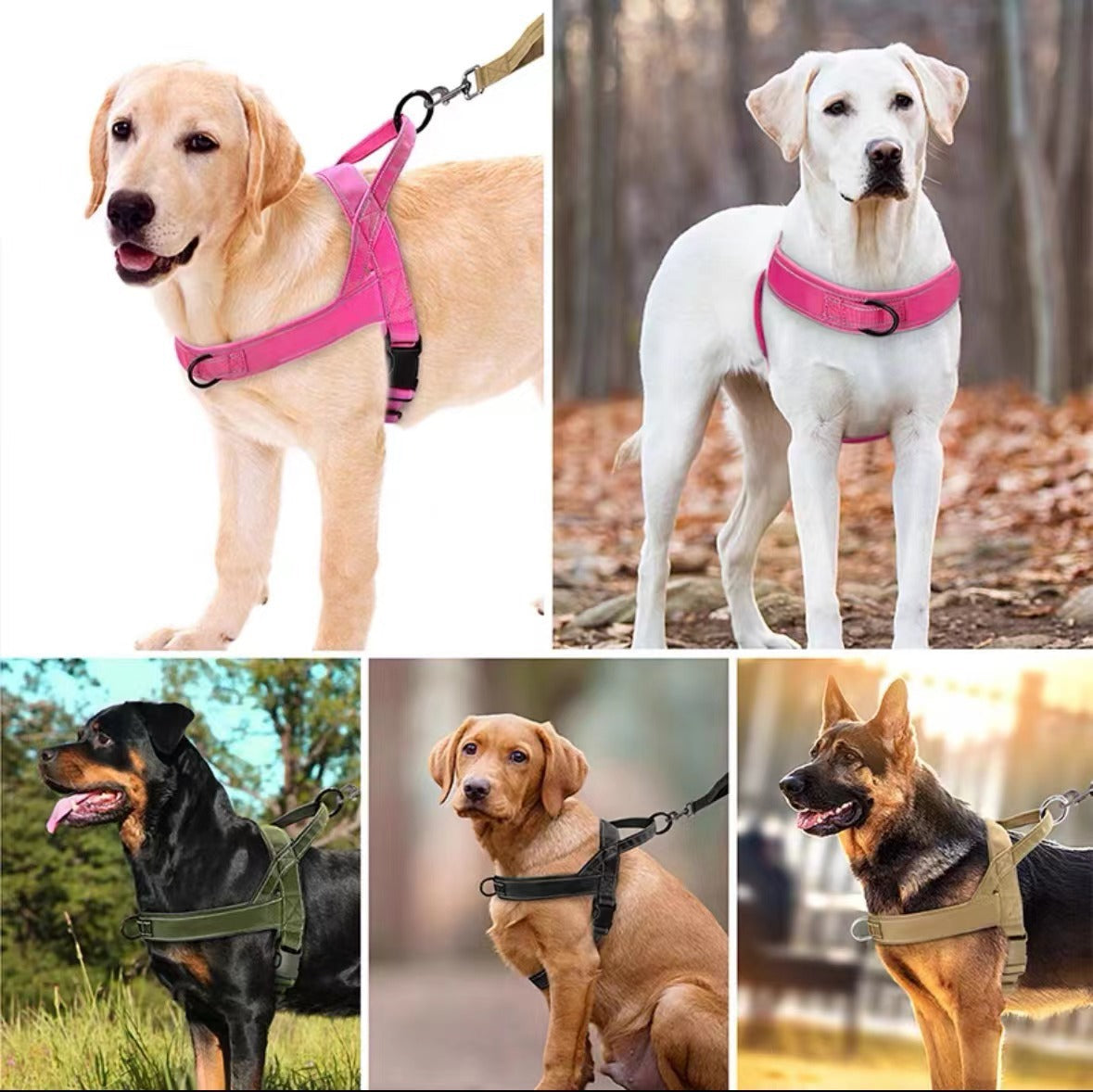 Tactical Dog Harness Vest with Collar