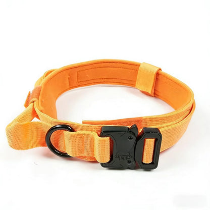 Tactical Nylon Dog Training Collar