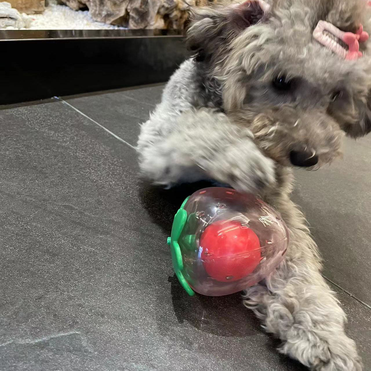 Talking and Chewable Pet Dog Toy