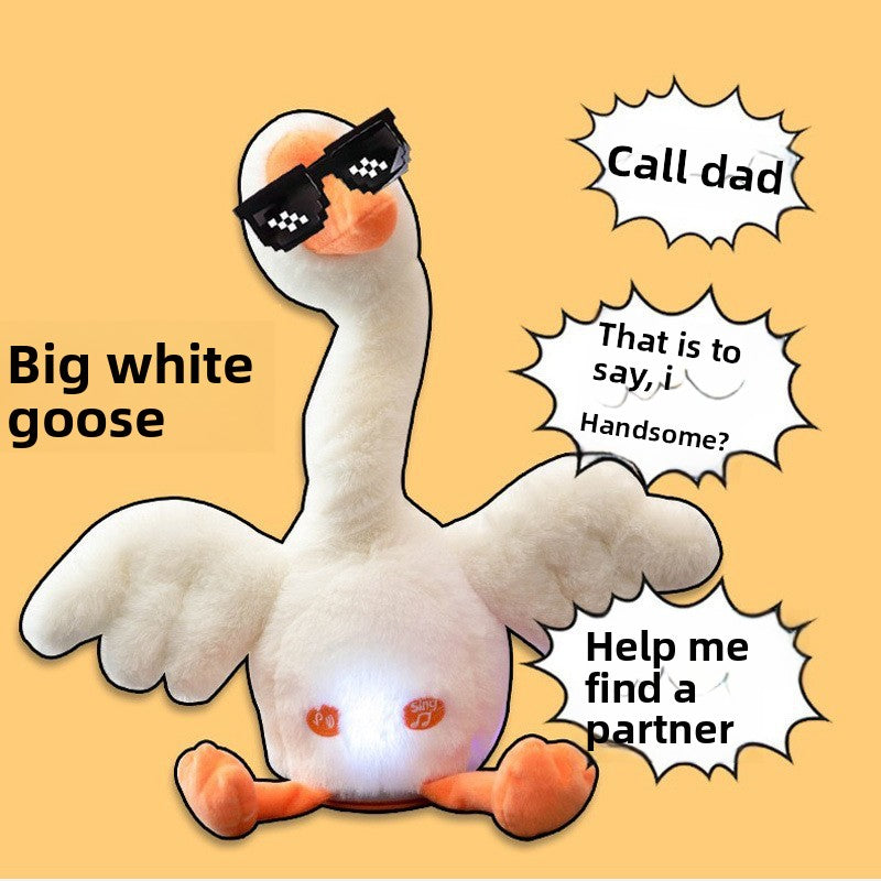 Talking Dancing Toy