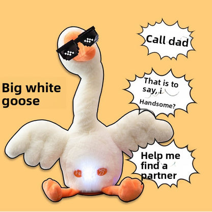 Talking Dancing Toy