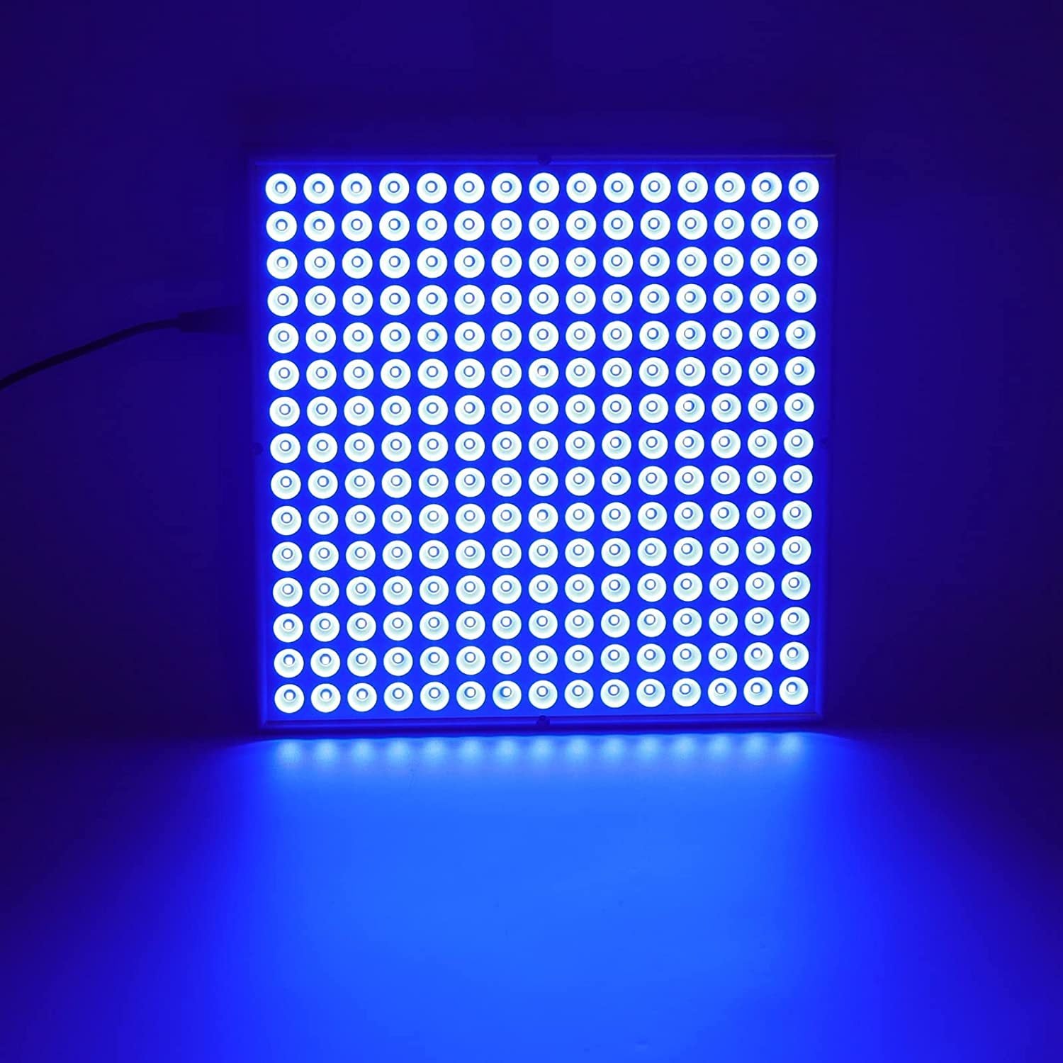 Tanning Lamp