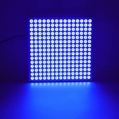 Tanning Lamp