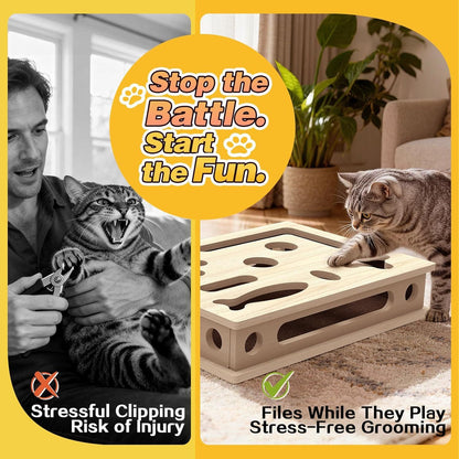 Tease cat game box