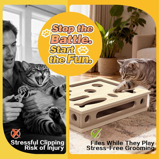 Tease cat game box