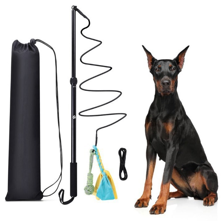 Telescopic Dog Walking Stick