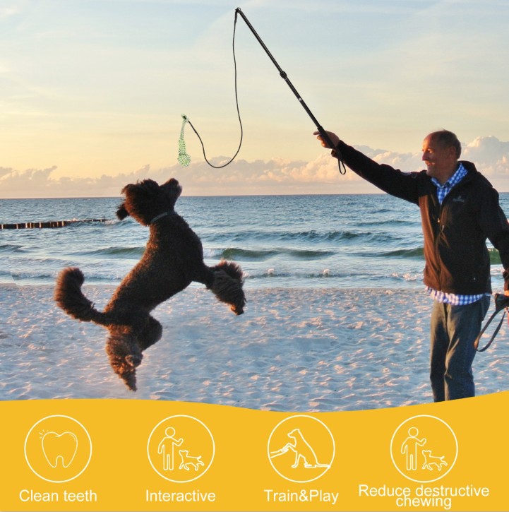 Telescopic Dog Walking Stick