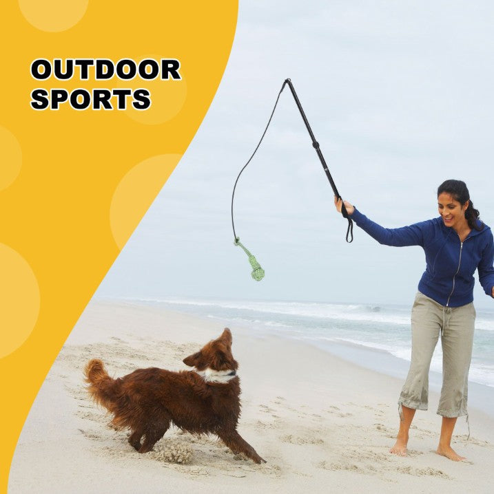 Telescopic Dog Walking Stick