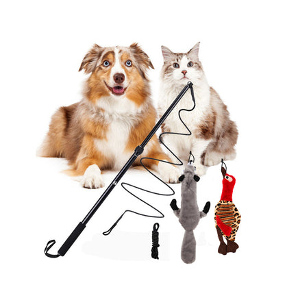 Telescopic Dog Walking Stick