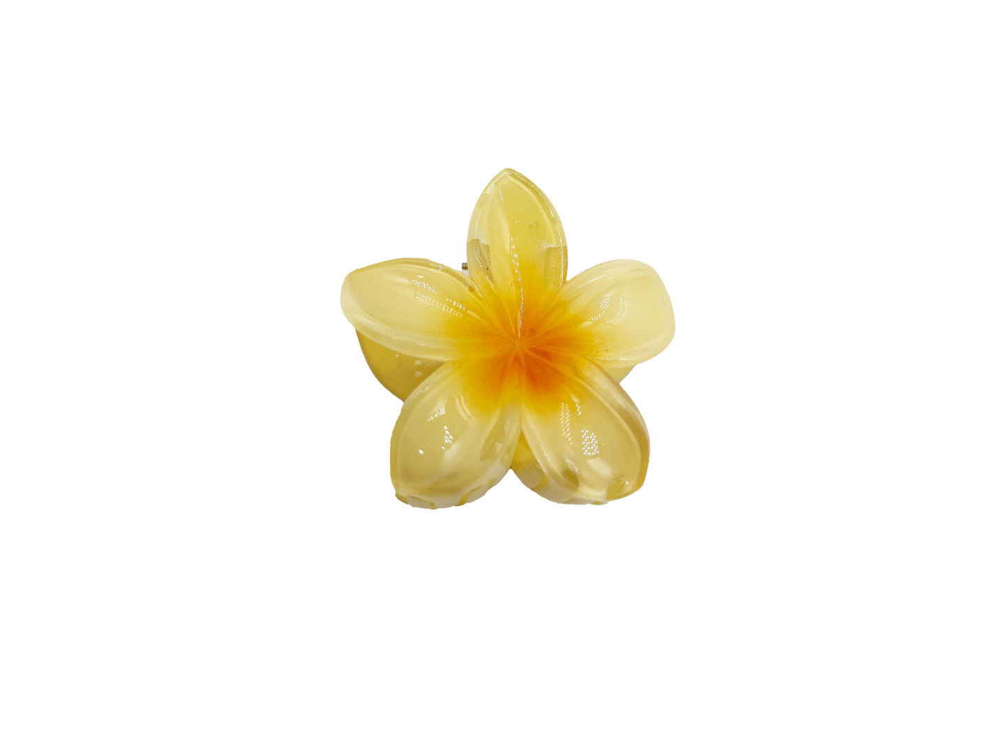 The colorful frangipani hairpin exudes a sense of sophistication