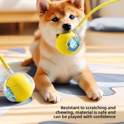 The dog toy ball automatically walks the dog