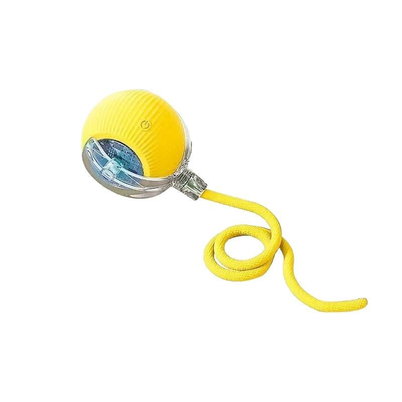 The dog toy ball automatically walks the dog