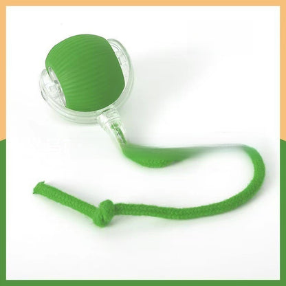 The dog toy ball automatically walks the dog