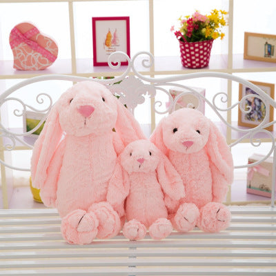 The rabbit with short ears