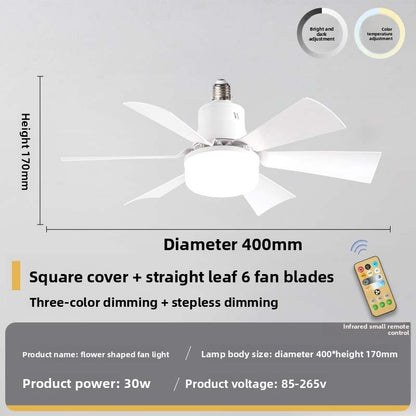 The small fan lamp is detachable