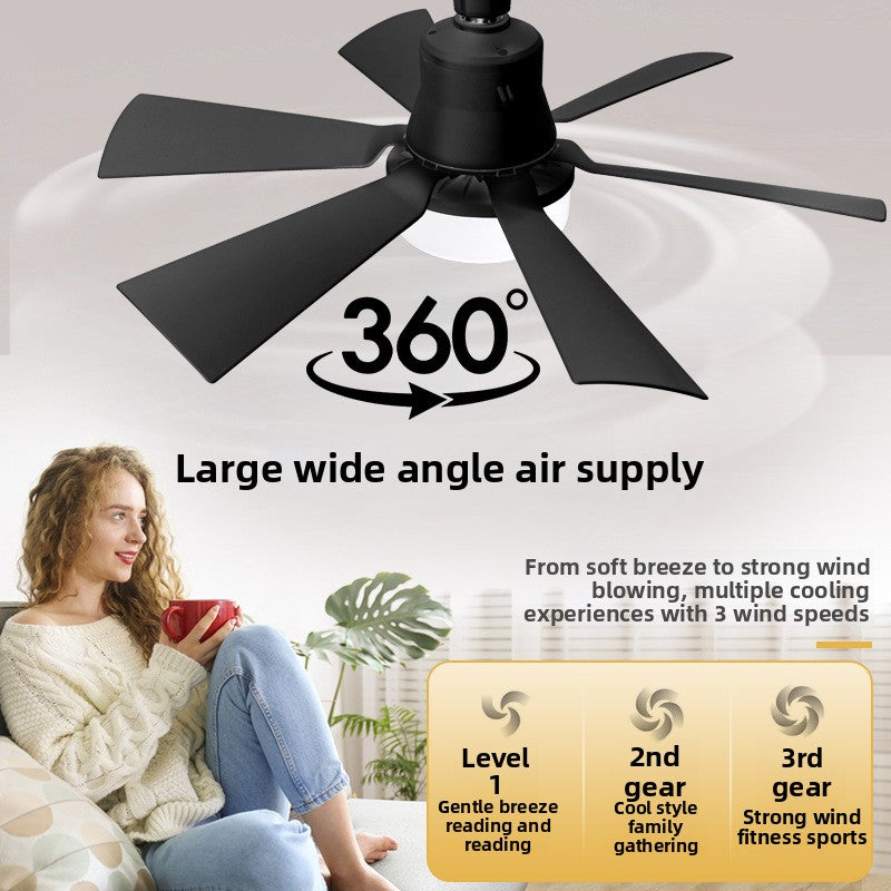 The small fan lamp is detachable