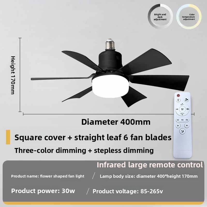The small fan lamp is detachable