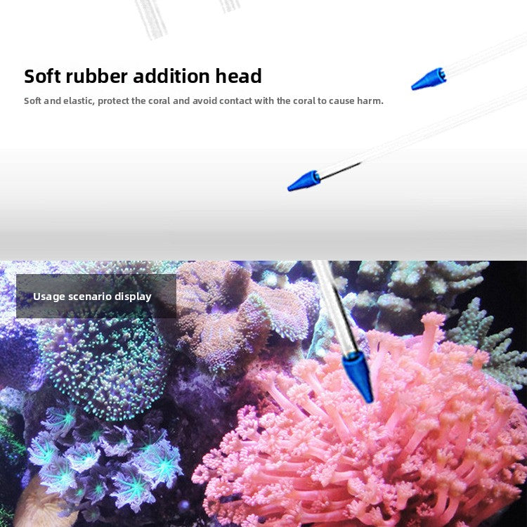 The source of the sea coral feeding tube