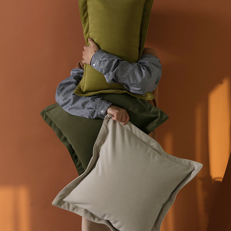 Throw pillows sofa cushions