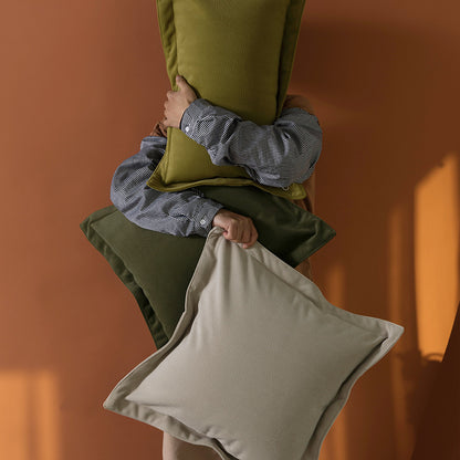 Throw pillows sofa cushions