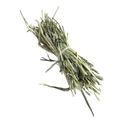 Timothy Grass Hay for Small Pets