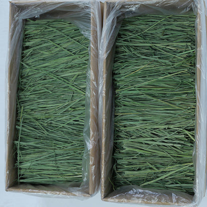 Timothy Hay for Small Pets