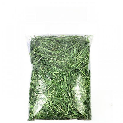 Timothy Hay for Small Pets