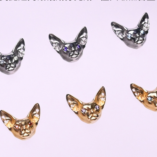 Titanium Earrings