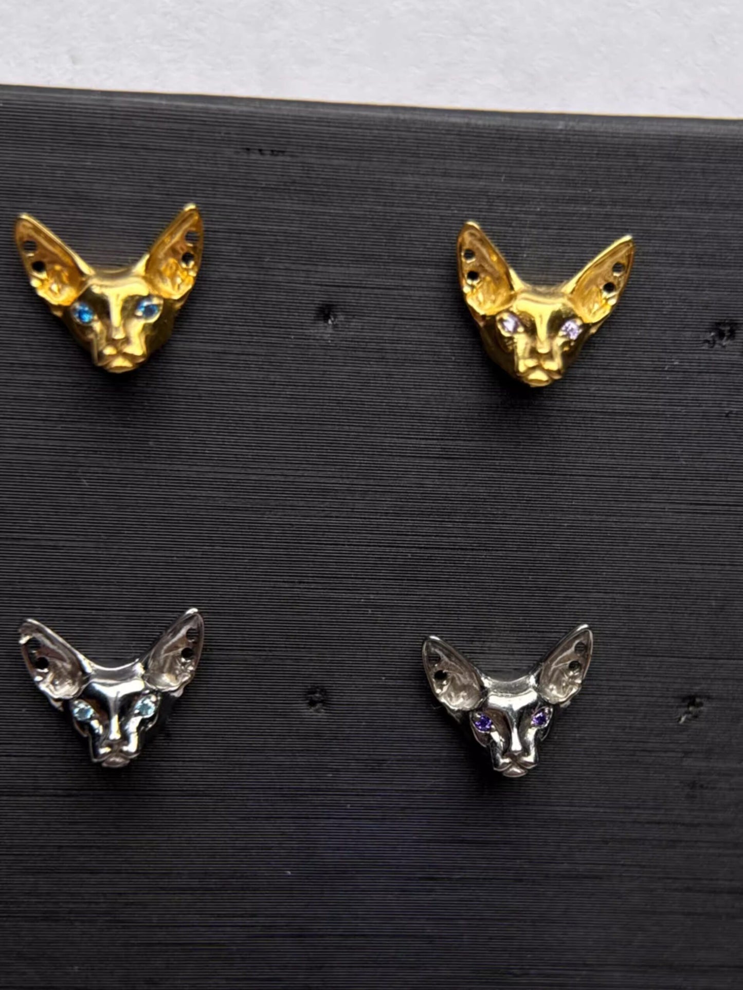 Titanium Earrings