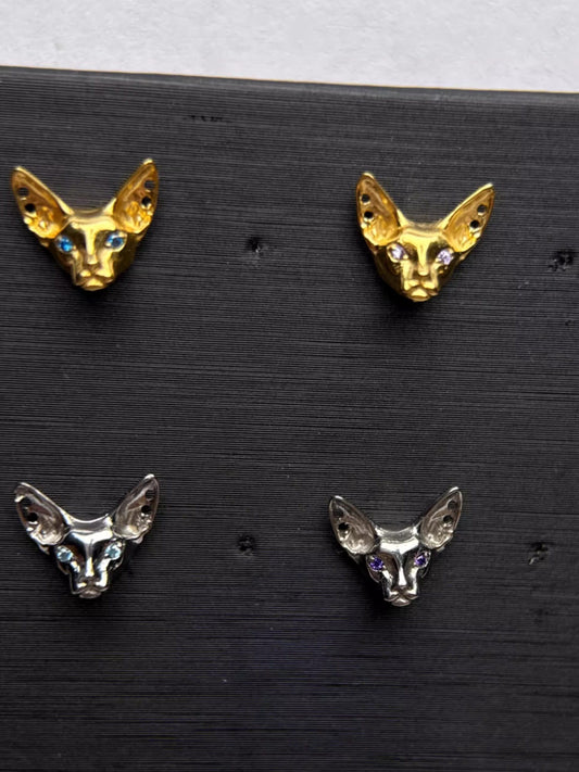 Titanium Earrings