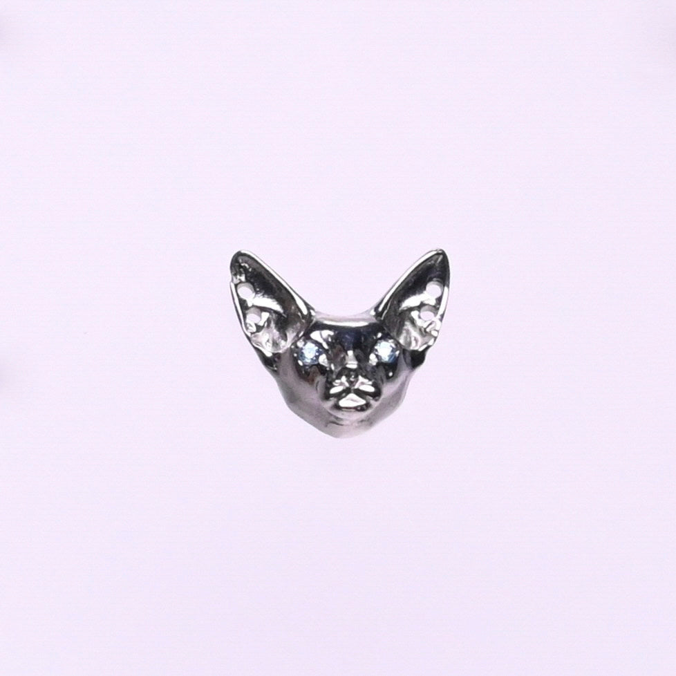 Titanium Earrings