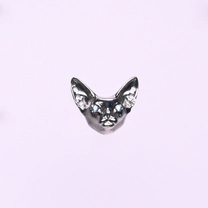 Titanium Earrings